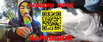 СК Бийск