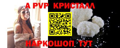 СК Бийск