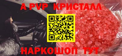 СК Бийск