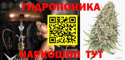Альфа ПВП Беслан