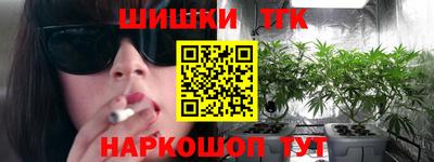 СК Бийск