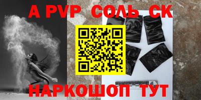 СК Бийск