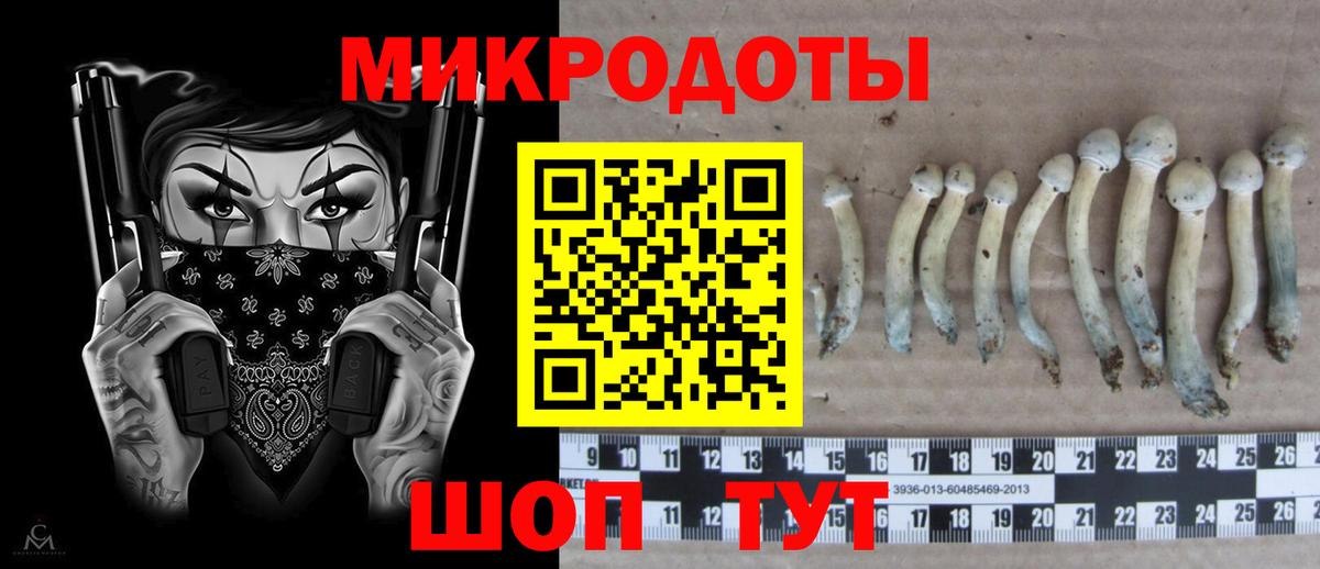 магазин  наркотиков  Вход с VPN  Псилоцибиновые грибы мицелий  Кизляр  Псилоцибиновые грибы Cubensis 