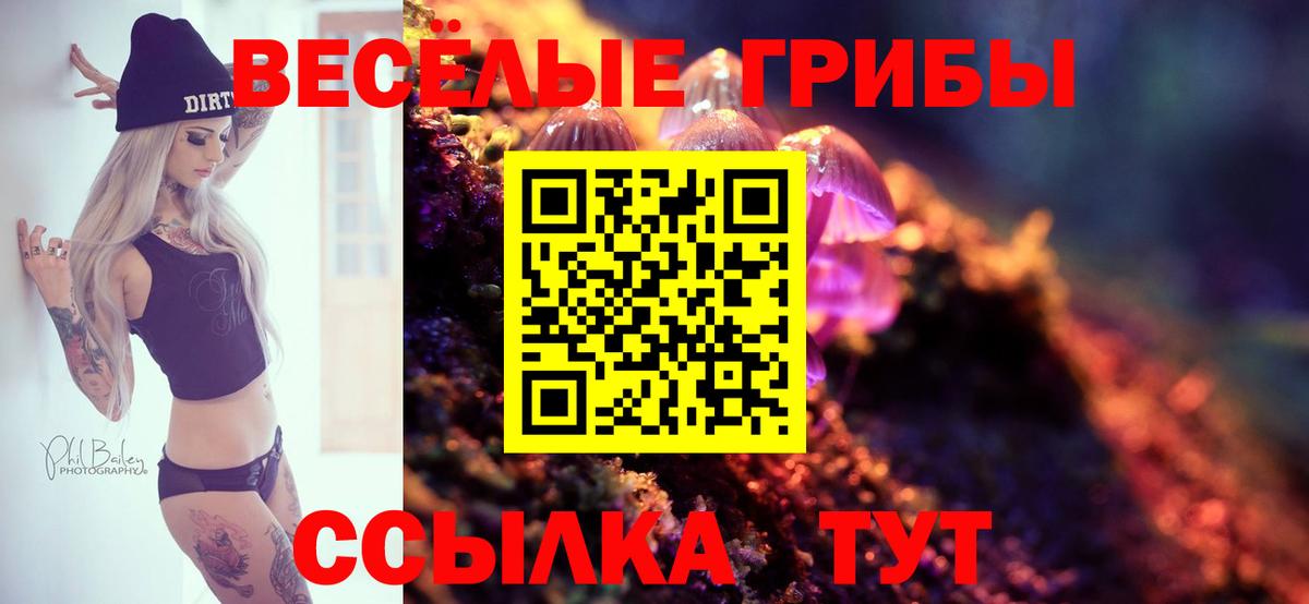 Псилоцибиновые грибы GOLDEN TEACHER Кизляр